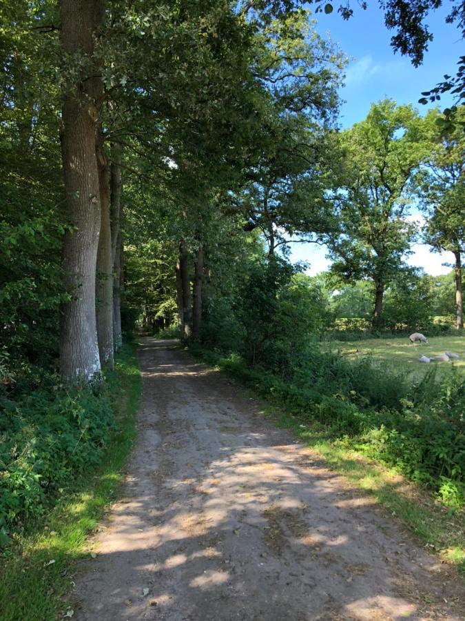 Klein Bosland By Logeren Bij Saar Villa Wijnjewoude ภายนอก รูปภาพ