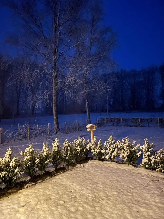 Klein Bosland By Logeren Bij Saar Villa Wijnjewoude ภายนอก รูปภาพ