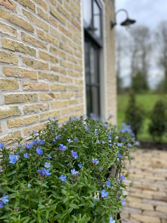 Klein Bosland By Logeren Bij Saar Villa Wijnjewoude ภายนอก รูปภาพ