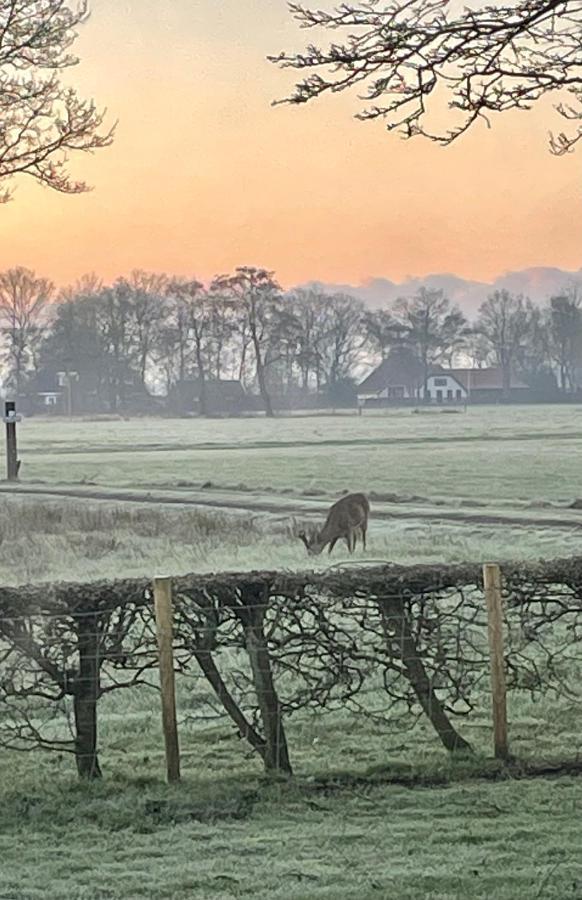 Klein Bosland By Logeren Bij Saar Villa Wijnjewoude ภายนอก รูปภาพ