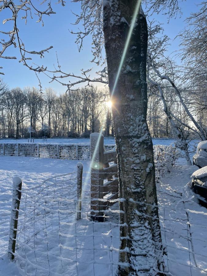 Klein Bosland By Logeren Bij Saar Villa Wijnjewoude ภายนอก รูปภาพ